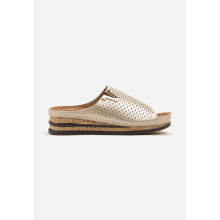 X3121-60-gold